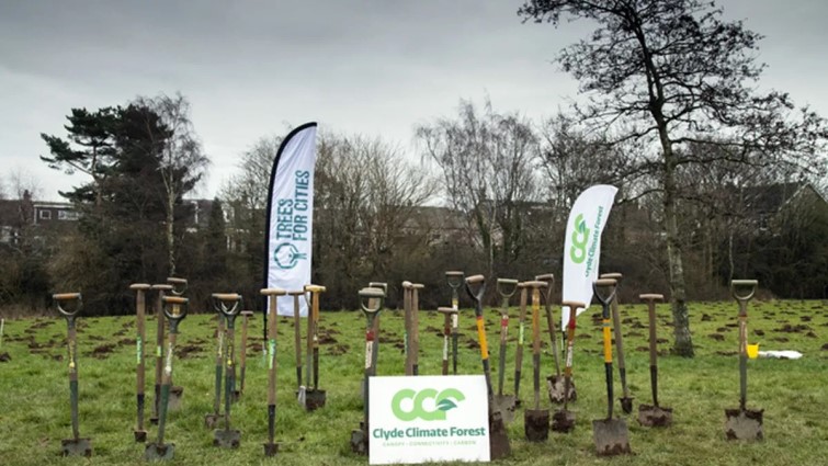 Planting trees is a cool way to help urban area
