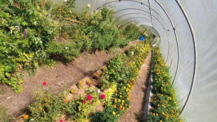 Climate emergency grant lets eco food service continue