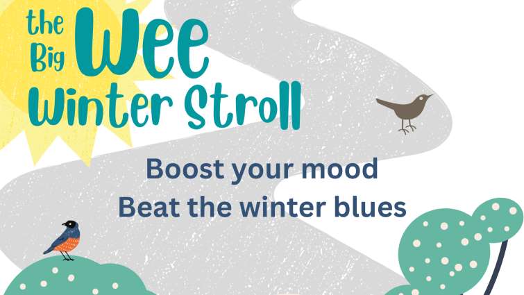 Big We Winter Stroll poster