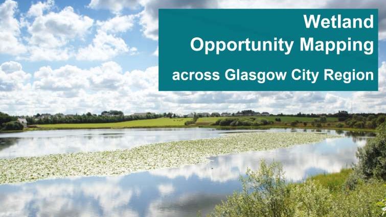 Local wetlands mapping data revealed