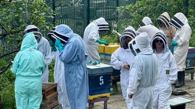 bee keeper training day