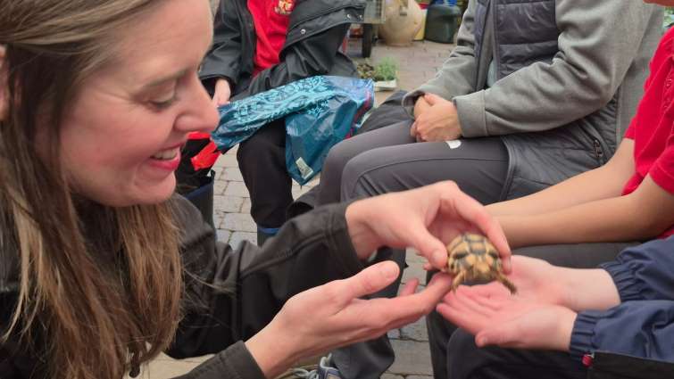pupils learning about nature with zoo keeper holding a baby tortoise